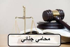 قضية كبرى: بلاغ/تحريات → تشكيل فريق دفاع متعدد التخصصات → جمع أدلة مادية ورقمية ومحاسبية → مرافعة وطلبات عملية → حكم واستئناف وتنفيذ.