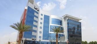 مخطط تفصيلي لرحلة قضية نزاهة